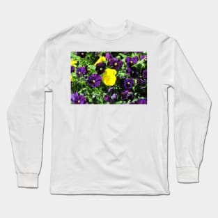 Purple And Yellow Flowers Long Sleeve T-Shirt